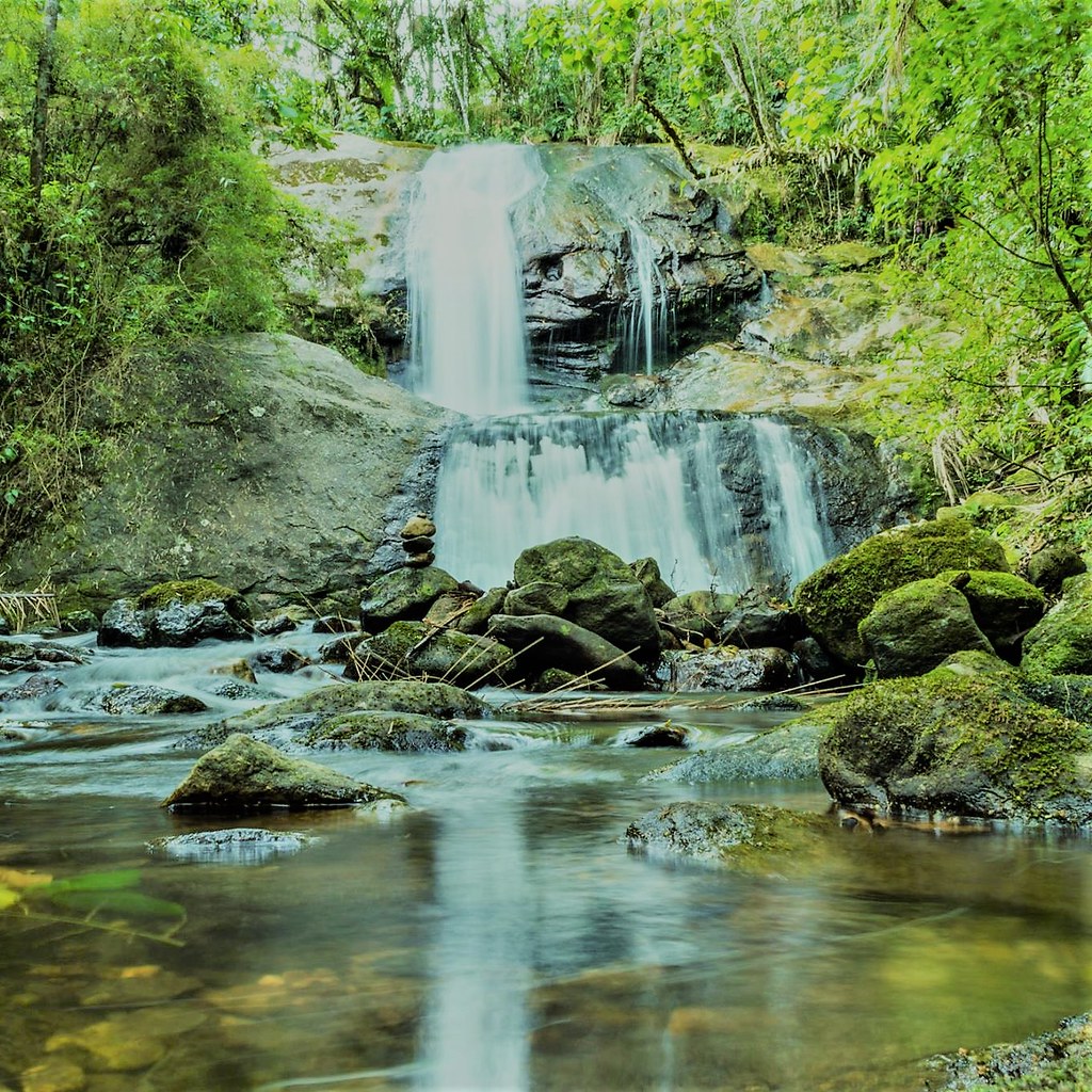 confraria-vegana---cachoeira_52164242975_l.jpg