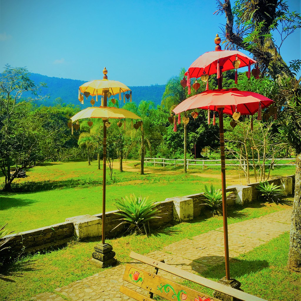 confraria-vegana---espao-9-by-cv_52163755171_l.jpg