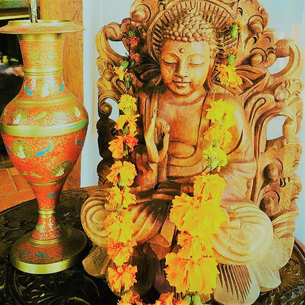 confraria-vegana---murti-2-by-cv_52163754836_l.jpg