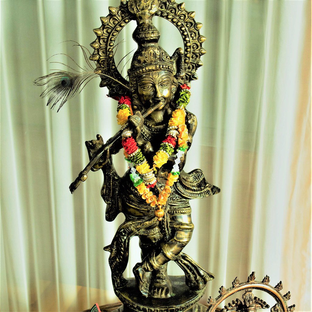 confraria-vegana---murti-by-teresasbardellati_52164242230_l.jpg