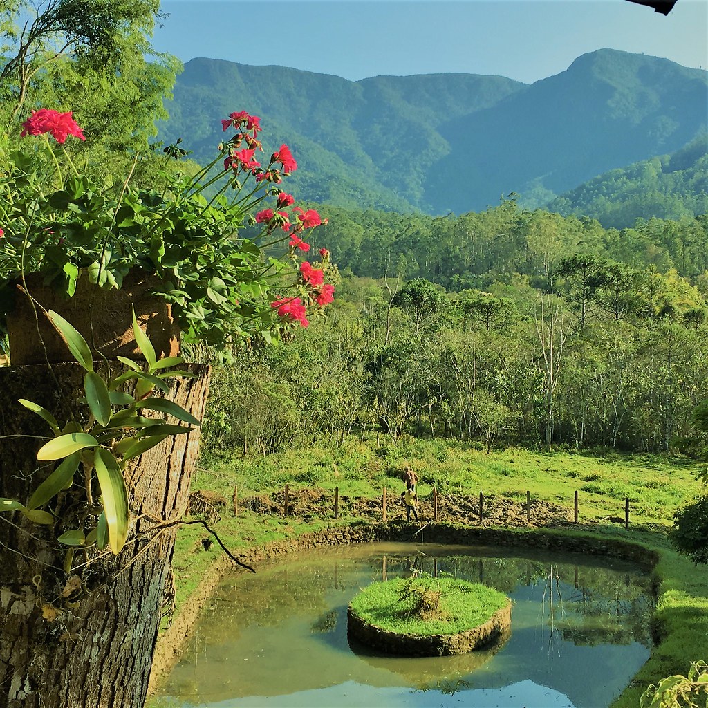 confraria-vegana---paisagem-by-cv_52163754483_l.jpg