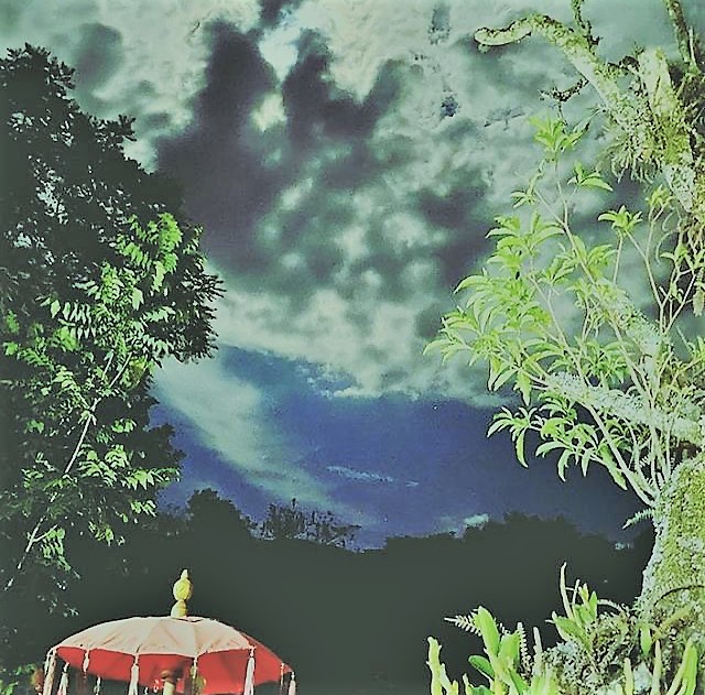 confraria-vegana---paisagem-luau-by-cv_52164242110_z.jpg