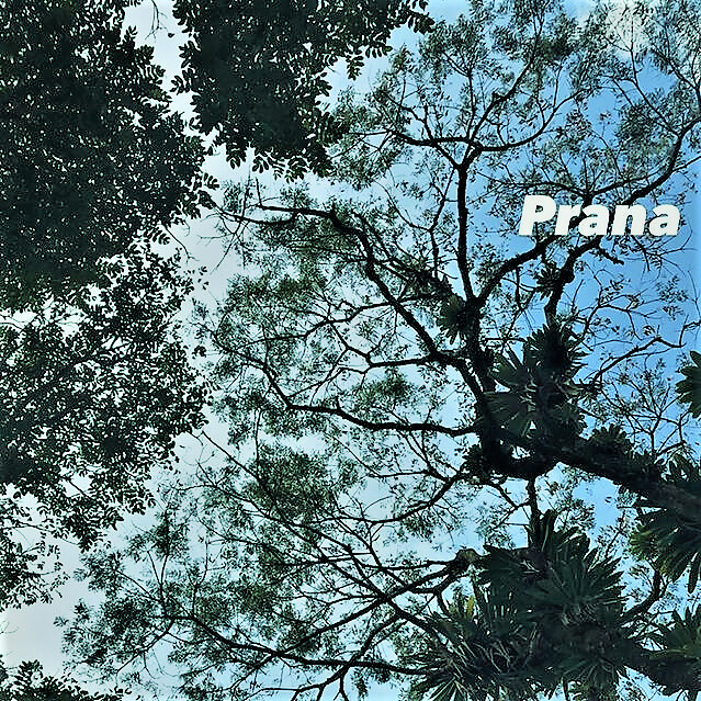 confraria-vegana---prana-by-cv_52164240805_z.jpg