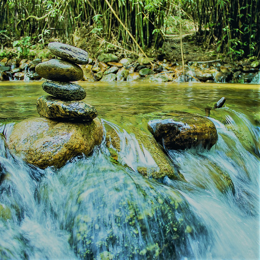 nova-gokula---natureza-by-foco-meraki_52164241275_l.jpg