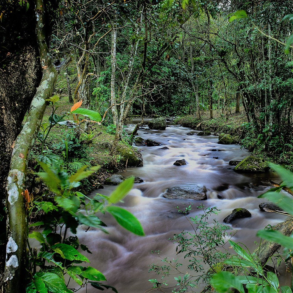 nova-gokula---natureza-by-marcelo-dos-santos_52164240160_l.jpg